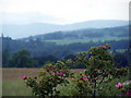 Looking towards Glen Clova