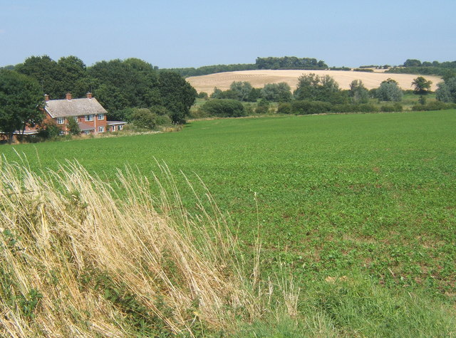 Countryside south of Newbourne with large field of clover