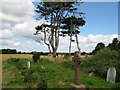 The corner of the graveyard at Church Hougham