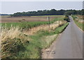 Lane towards Waldringfield Heath