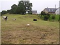 Tattanelian Townland