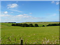 Farmland near Pennan