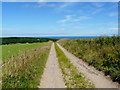 Farm track near Pennan