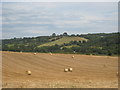 Harvesting above Penpol