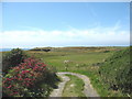 Access track to cliff top National Trust property