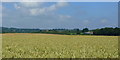 Arable land south of Aylton