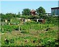 Baxter Road allotments, E16