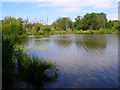 Slaugham Mill Pond