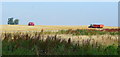 Harvesting barley