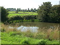 Pond in the Fields