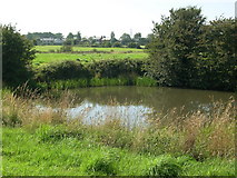 SD3339 : Pond in the Fields by Alex Robinson