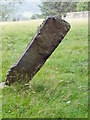 NH8204 : Dunachton Pictish Stone by Ewen Rennie