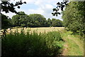 Field with Bales, opposite Brookside Farm