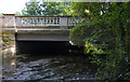 Bridge over the River Brent