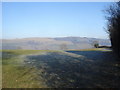 Sheep pasture land at Hill Farm