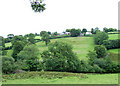 Farmland by Nant Arth, Ceredigion