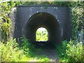 Railway bridge, Church Path, Westbury