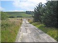 Farm road from Carreg-y-Big