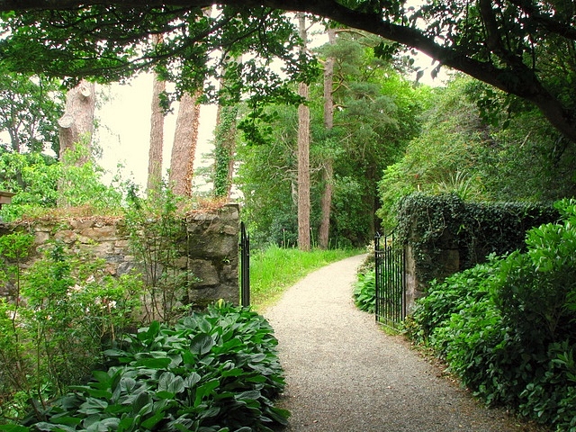 Path, Glenveagh Castle gardens