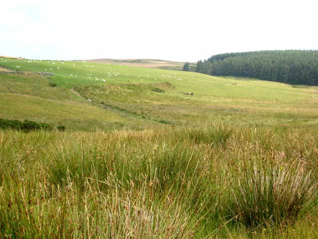 Lower slopes of the Mynydd Lluest-y-Graig