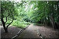 Nashdom Abbey - Woodland path