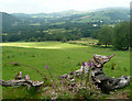 Farmland south-east of Tregaron, Ceredigion