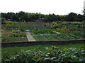 Allotments, Ruddington