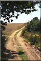 Footpath to Sutton Hall