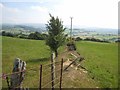 Field boundary near Dolgwden