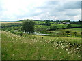 Tilekiln Ponds and Lookingflatt Farm