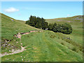 Bridleway towards Nantymaen, Ceredigion