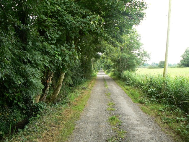 Farm road