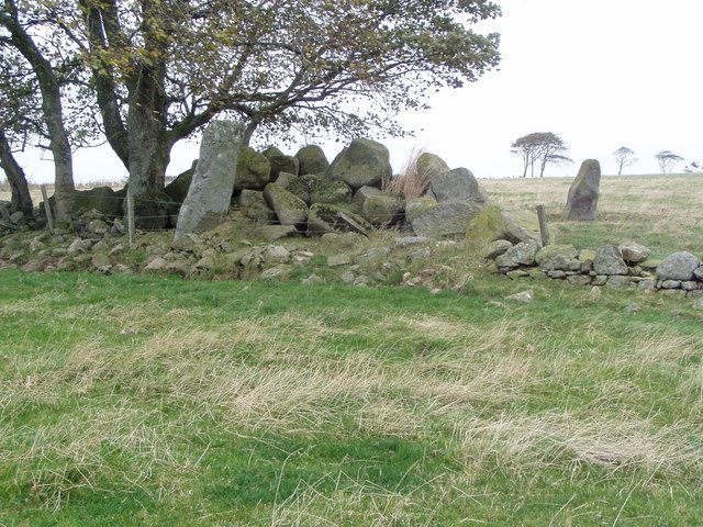 Remains Auchmachar Stone Circle