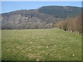 Grazing land below Nash Scar