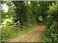 Footpath near South Knighton