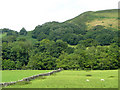 Across Cwm Brefi, Ceredigion