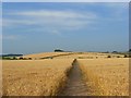 Farmland, Little Marlow