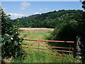 Path to Nantmawr