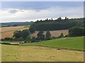 Countryside, Little Marlow