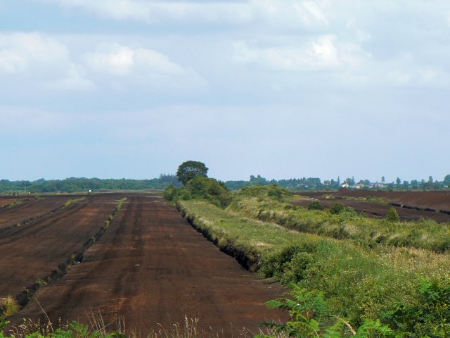 Stripped peat bog