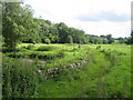 Water channels, River Nadder near Teffont Evias 3