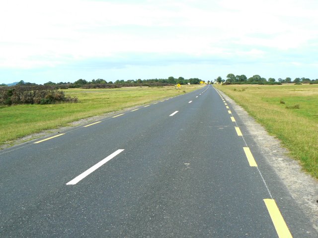 Road across the Curragh