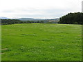 Field near Doddenham