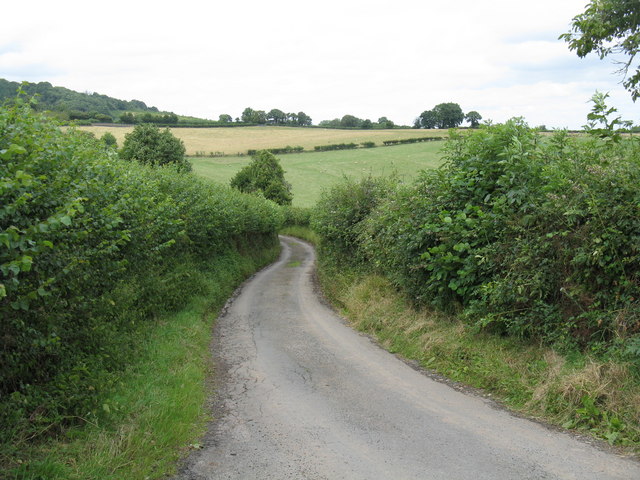 Lane north of Hawksnest Farm