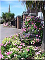 Weybridge in Bloom