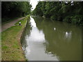 Grand Union Canal: Aylesbury Arm