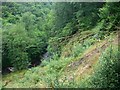 Landslip beside the Nant Llech