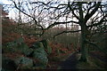 SK3090 : In the woods below the trig point on Loxley Common by carol gill