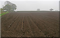 Ploughed field near Storrs