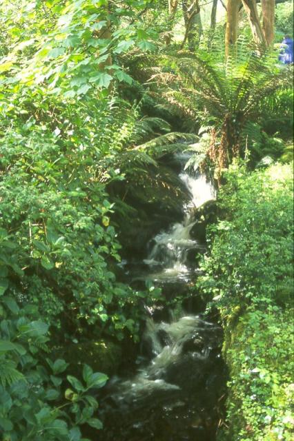 Waterfall in Glanleam Garden